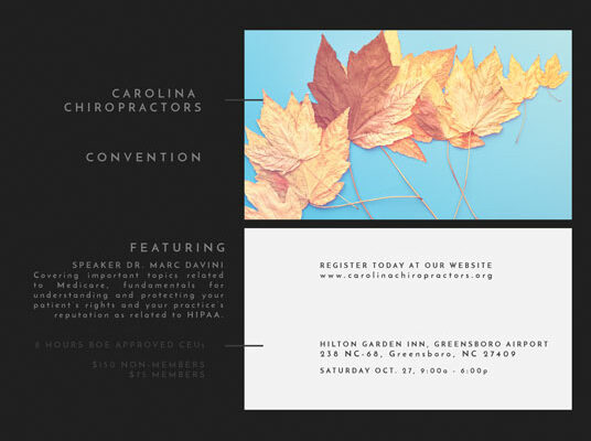 Marketing Campaigns — Carolina Chiropractors