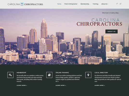 Website Design — Carolina Chiropractors
